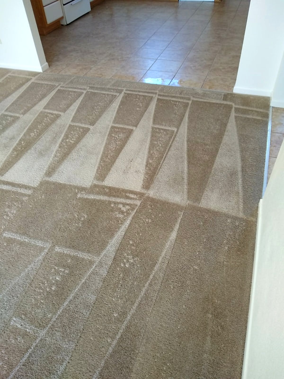 After: the same carpet by the kitchen tile, clean with even wand stripes