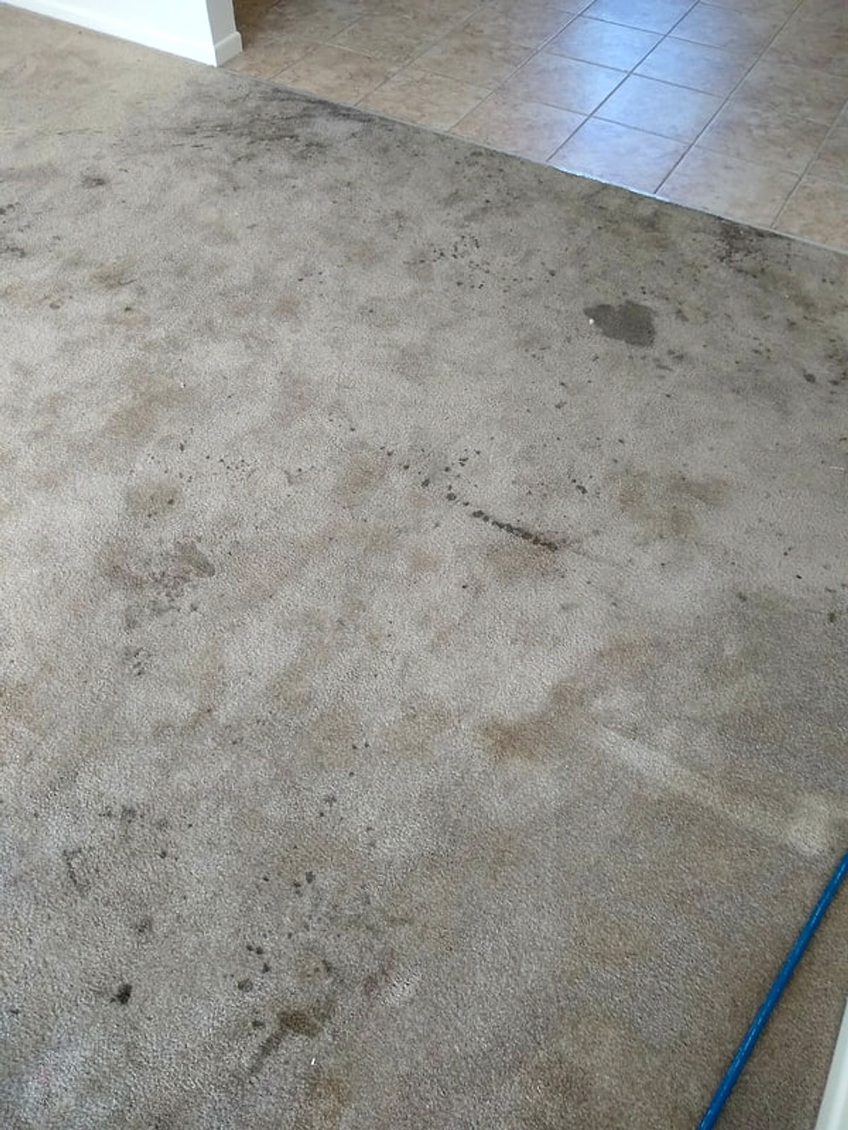 Before: soiled carpet at the edge of a kitchen's tile floor
