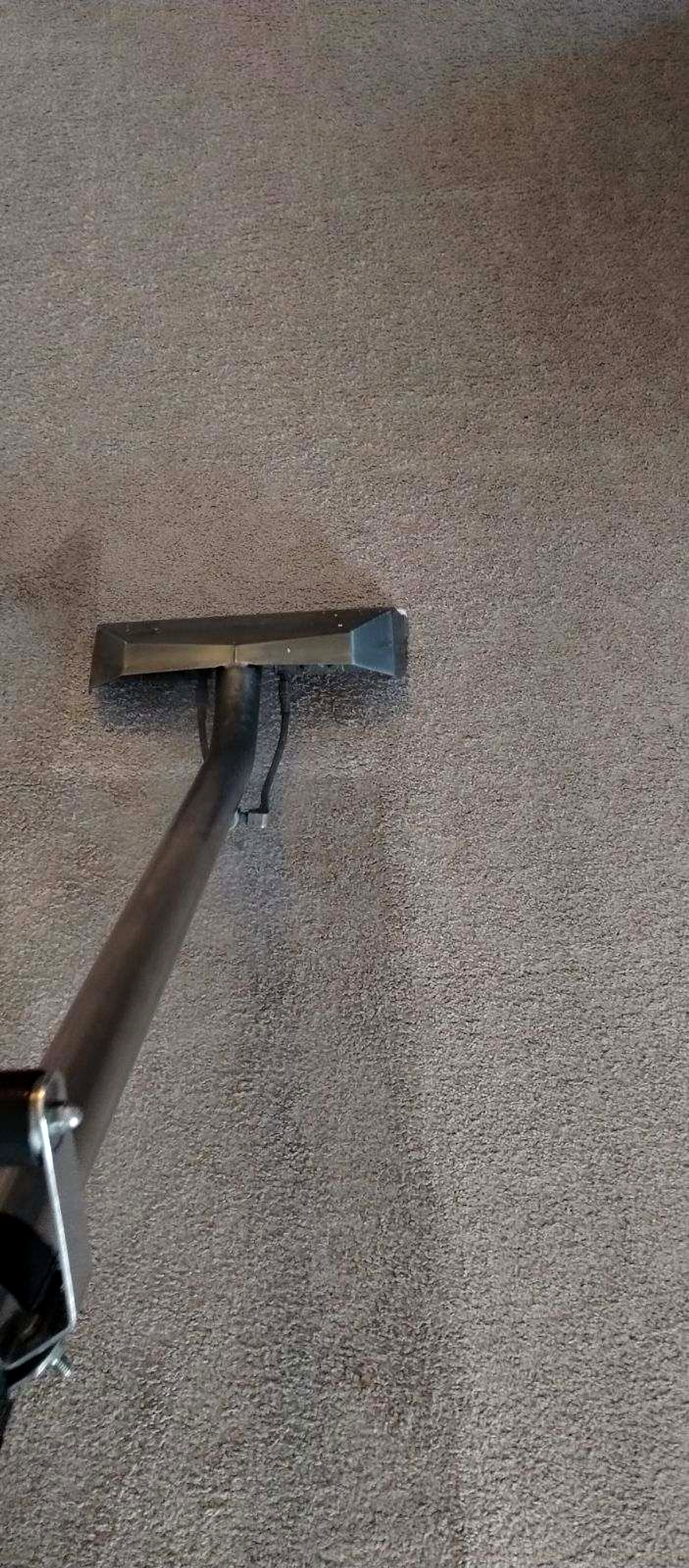 One wand pass: clean stripe beside dirty carpet